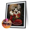 Cat in Shoe - Full Round Diamond Painting