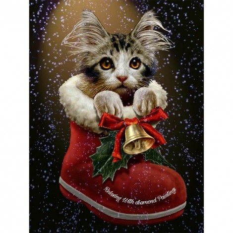 Cat in Shoe - Full Round Diamond Painting