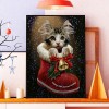 Cat in Shoe - Full Round Diamond Painting