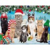 Christmas Cats - Full Round Diamond Painting