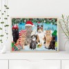 Christmas Cats - Full Round Diamond Painting