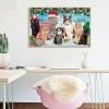 Christmas Cats - Full Round Diamond Painting
