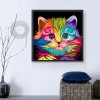 Colorful Cat - Full Round Diamond Painting