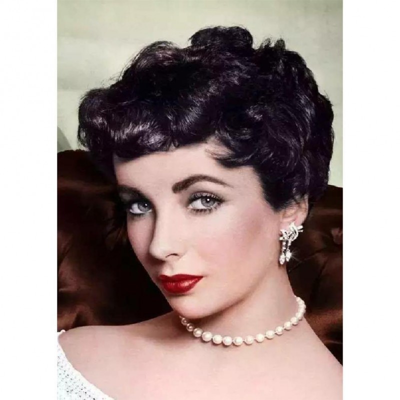 Taylor - Full Round ...