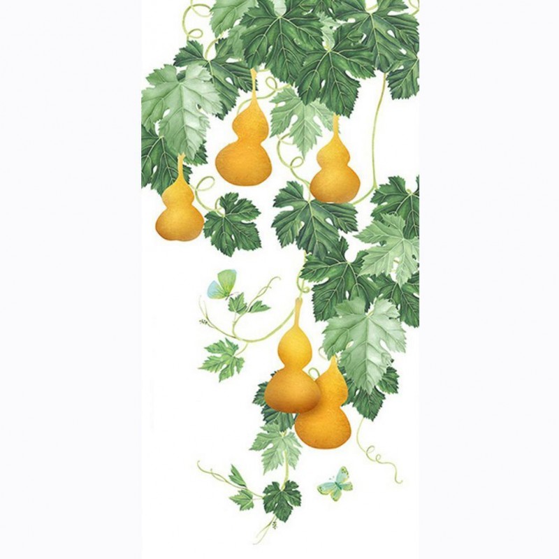 Calabash Vine - Full...