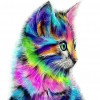 Colorful Cat - Full Square Diamond Painting(40x50cm)