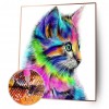 Colorful Cat - Full Square Diamond Painting(40x50cm)