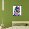 Colorful Cat - Full Square Diamond Painting(40x50cm)