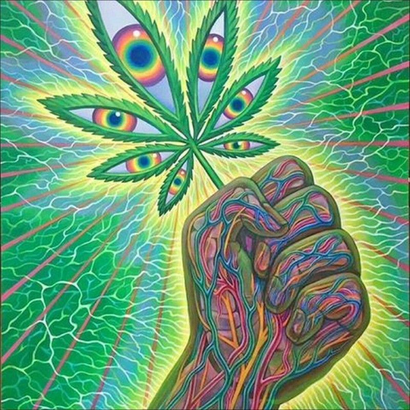 Leaf - Full Round Di...