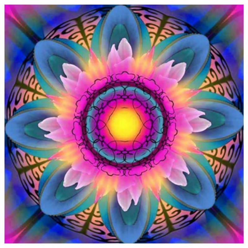 Flowers - Full Round...