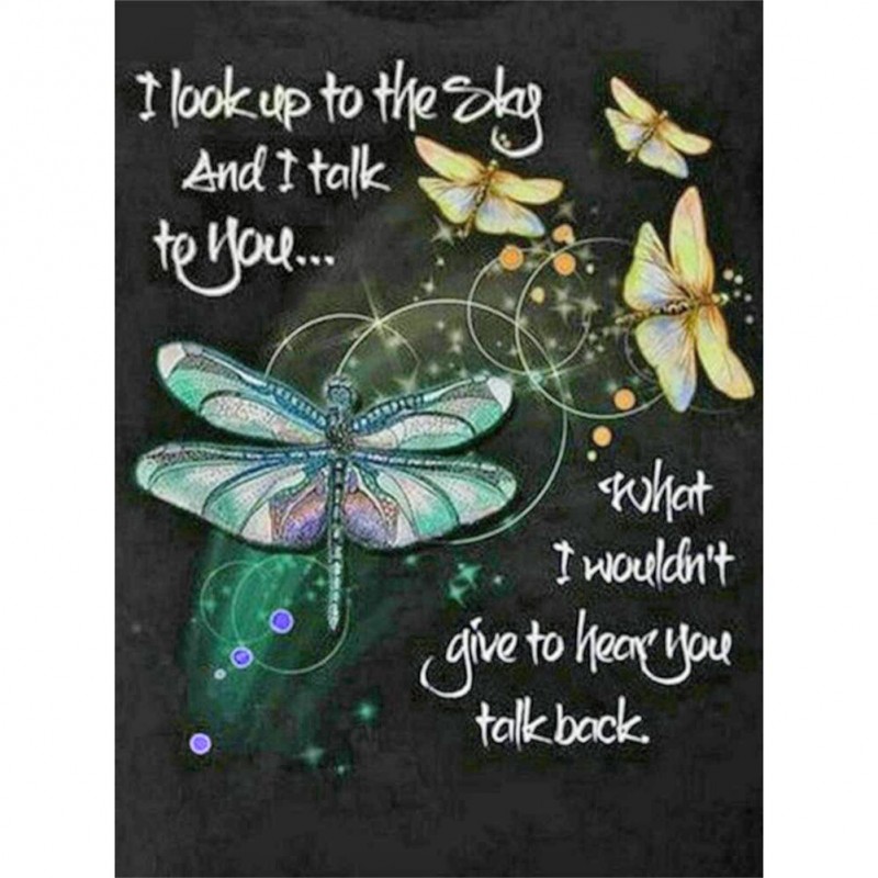 Dragonfly - Full Rou...