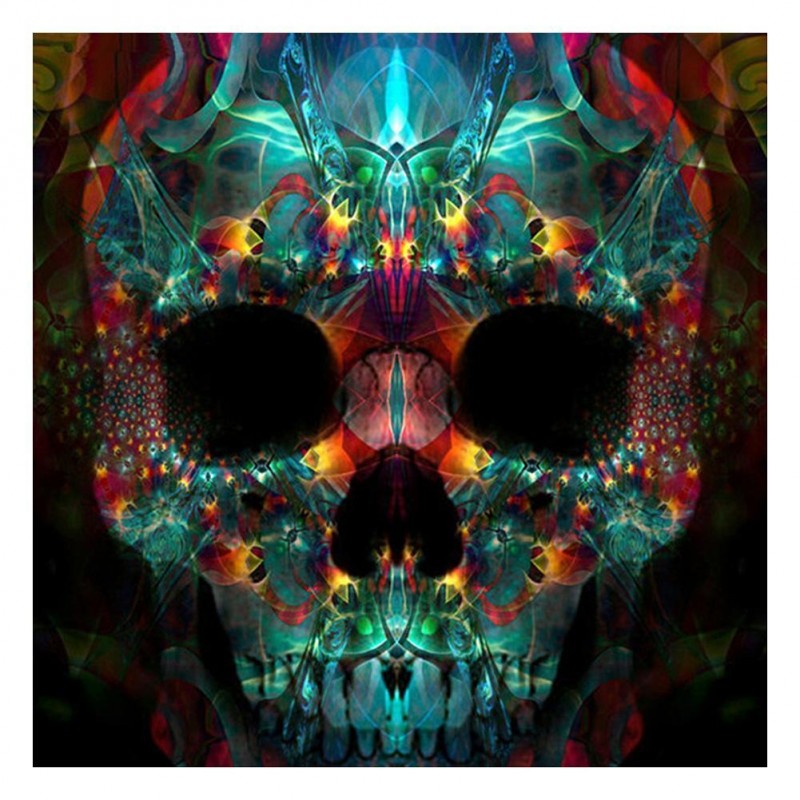 Skull  - Full Round ...