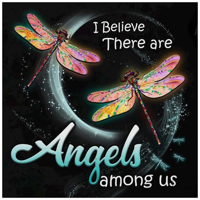 Dragonfly - Full Rou...