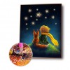 Boy Puppy Star Sky - Full Round Diamond Painting