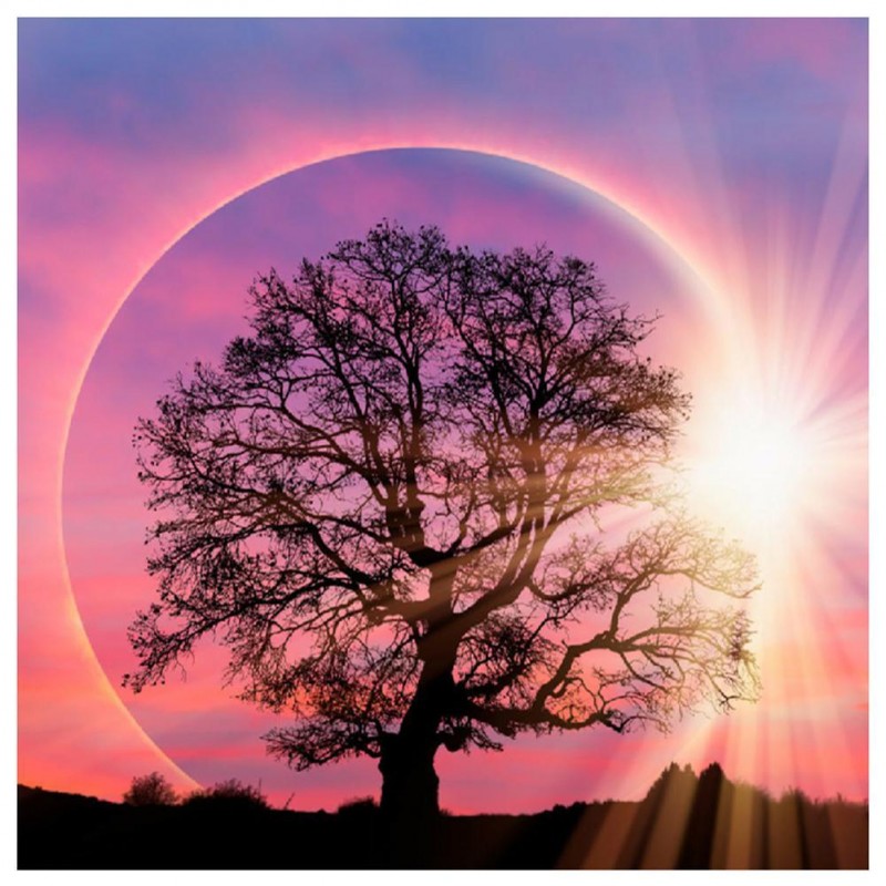 Tree Moon - Full Rou...