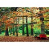 Scenery - Full Round Diamond Painting