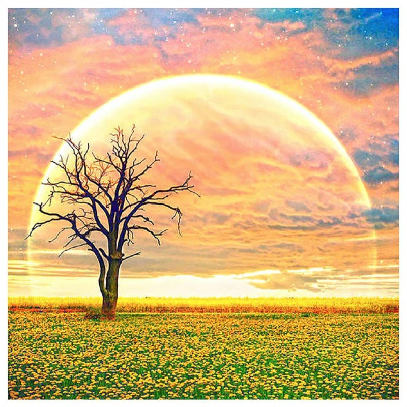 Tree Moon - Full Rou...