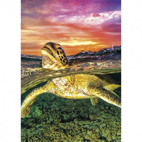Sea Turtle - Full Round Diamond Painting