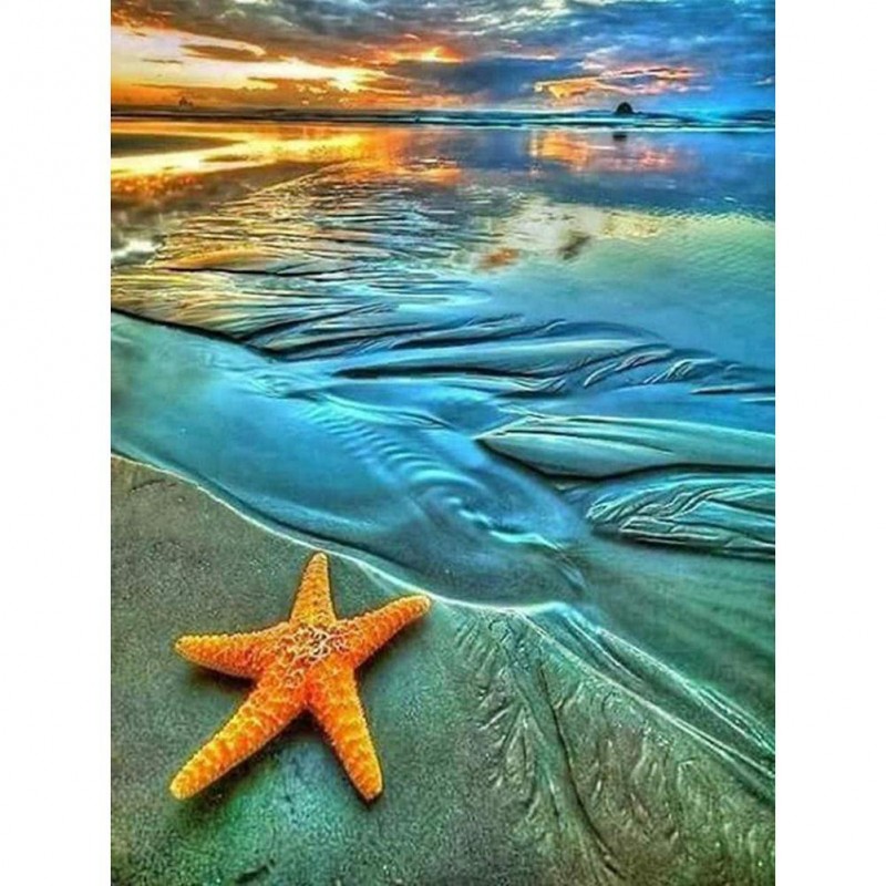Starfish - Full Roun...