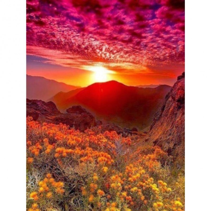 Landscape - Full Rou...