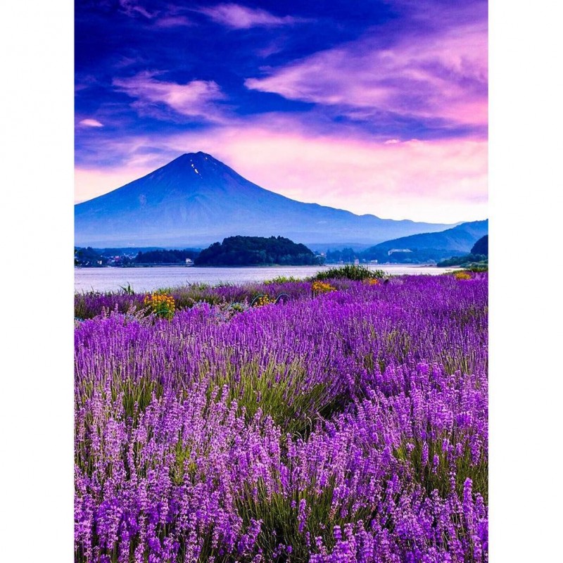 Scenery - Full Round...