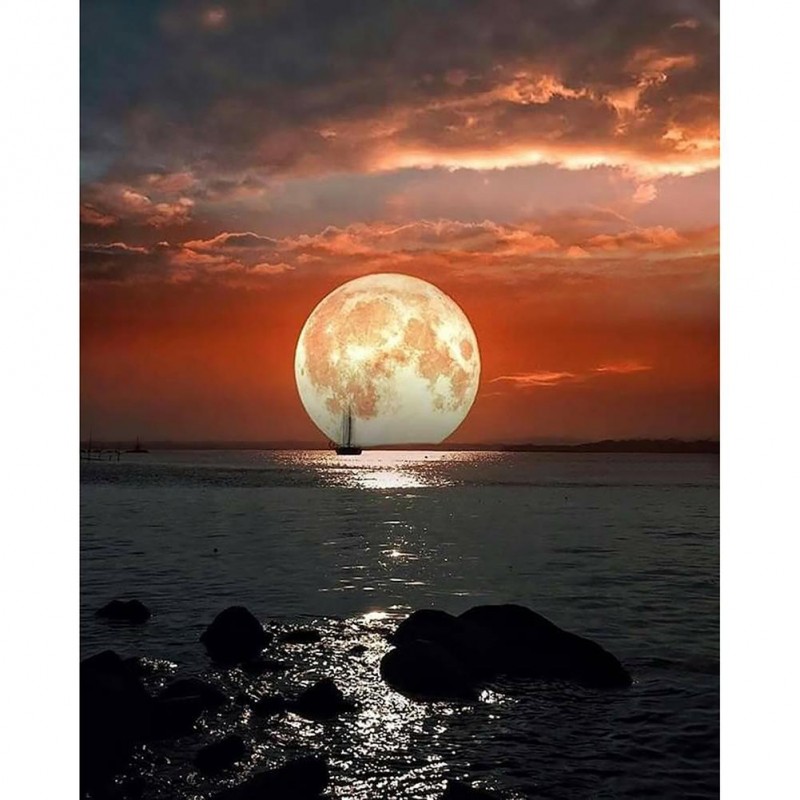 Scenery - Full Round...