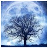 Tree Moon - Full Round Diamond Painting