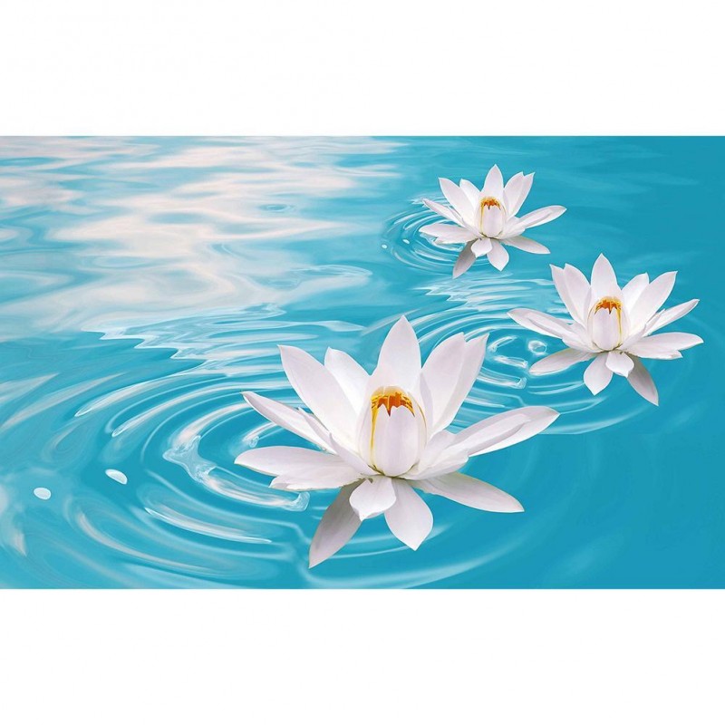 Lotus - Full Round D...