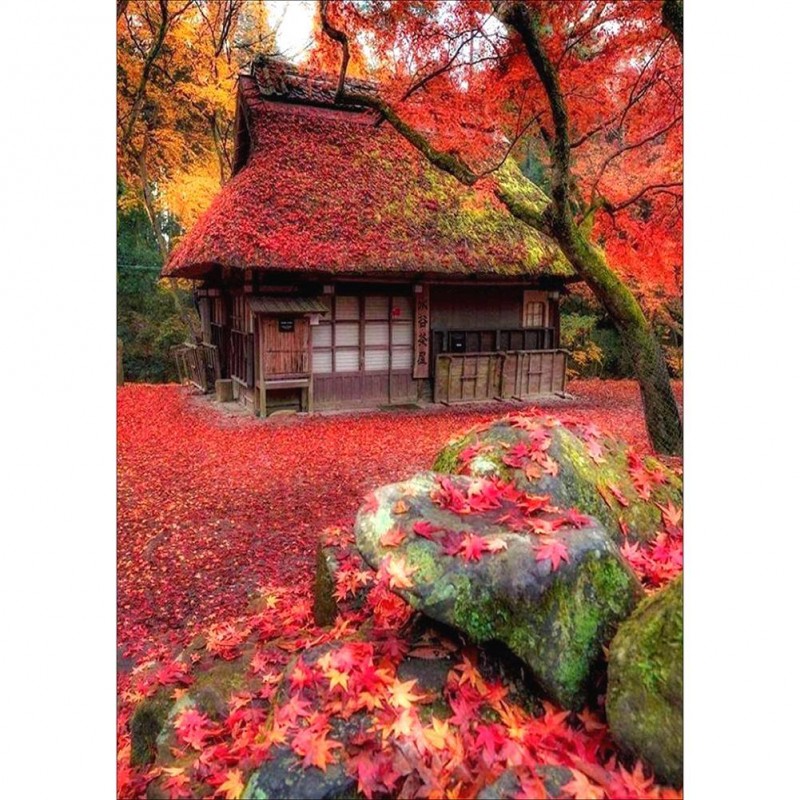 Landscape - Full Rou...