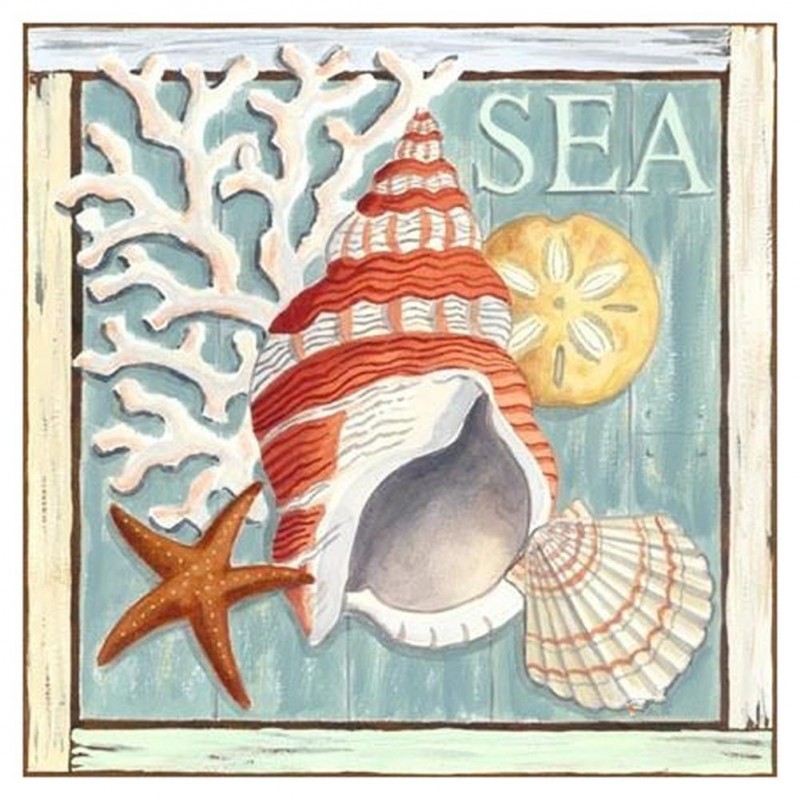 Sea Snail - Full Rou...