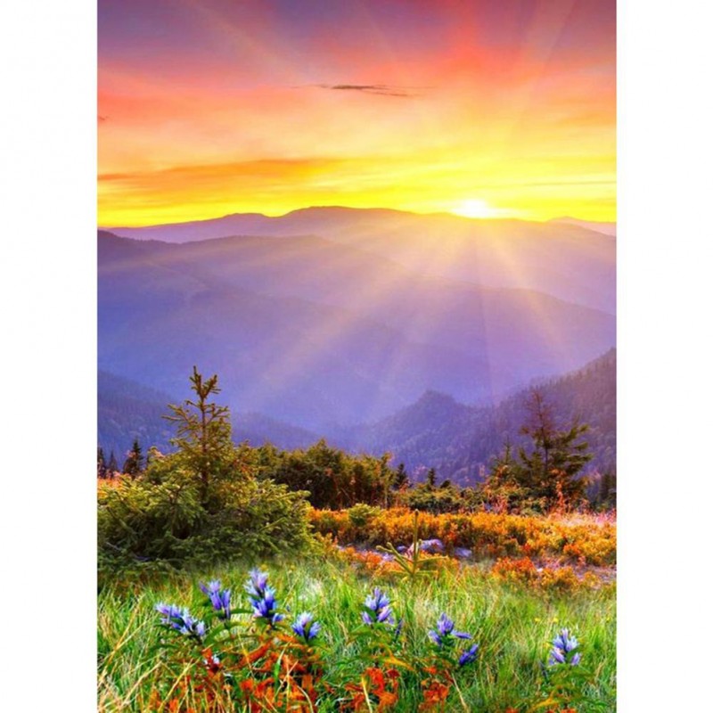 Sunrise - Full Round...