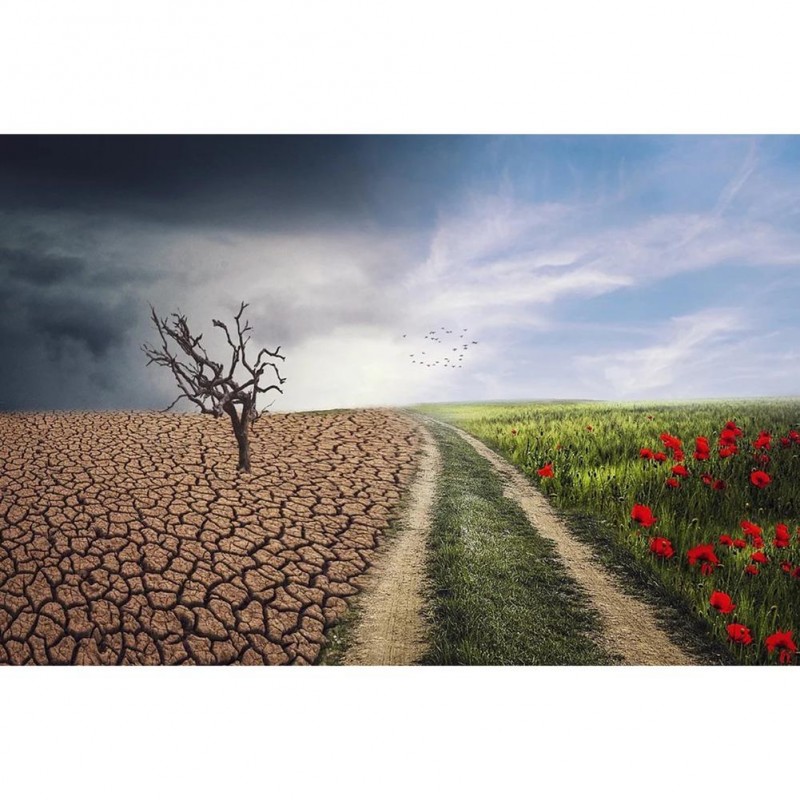 Road - Full Round Di...