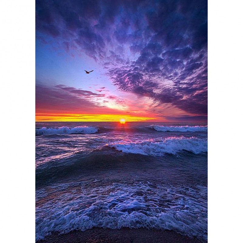 Beach - Full Round D...