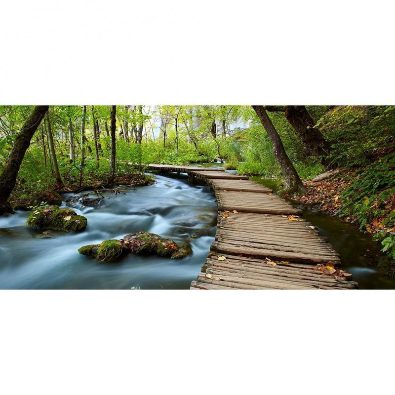 Forest -Full Round D...