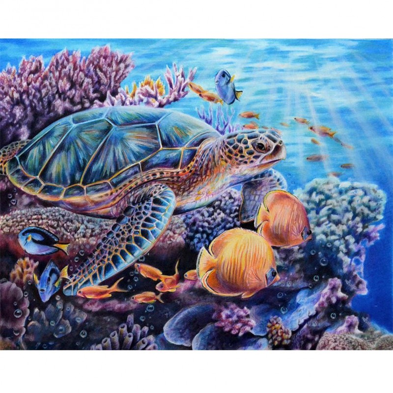 Sea Turtle and Fish ...