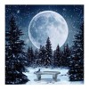 Full Moon- Full Round Diamond Painting