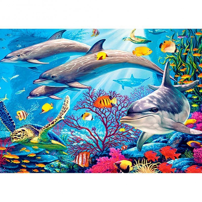 Sea Dolphin - Full R...