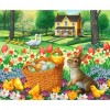 Countryside - Full Square Diamond Painting(40x50cm)