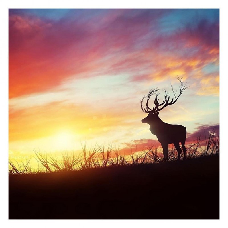 Sunset Glow - Full R...