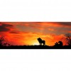 Lion Sunset - Full Round Diamond Painting(70x30cm)