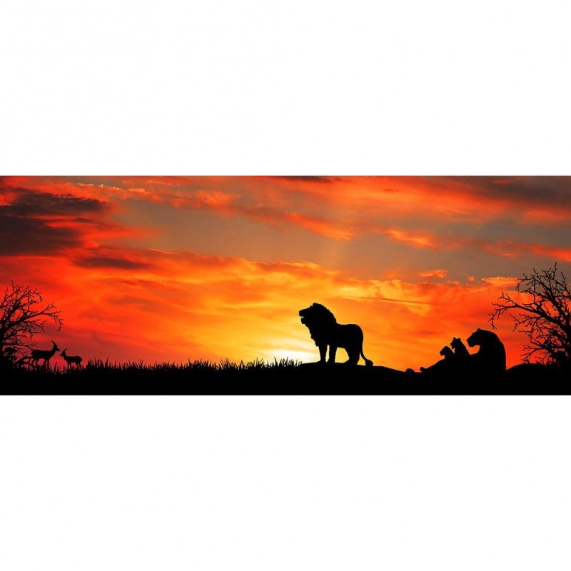Lion Sunset - Full R...
