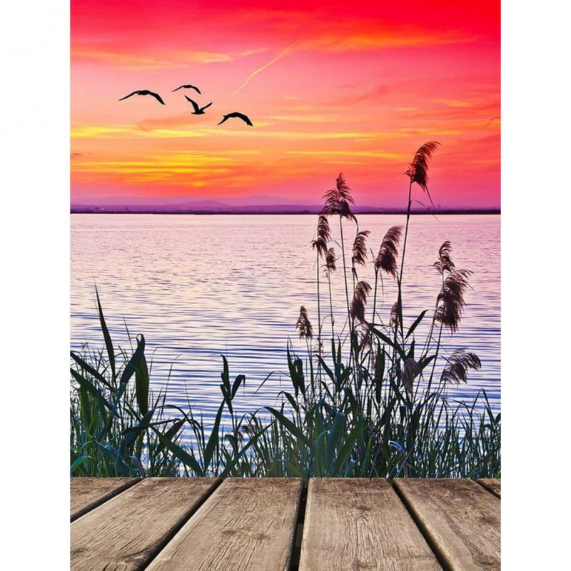 Landscape - Full Rou...