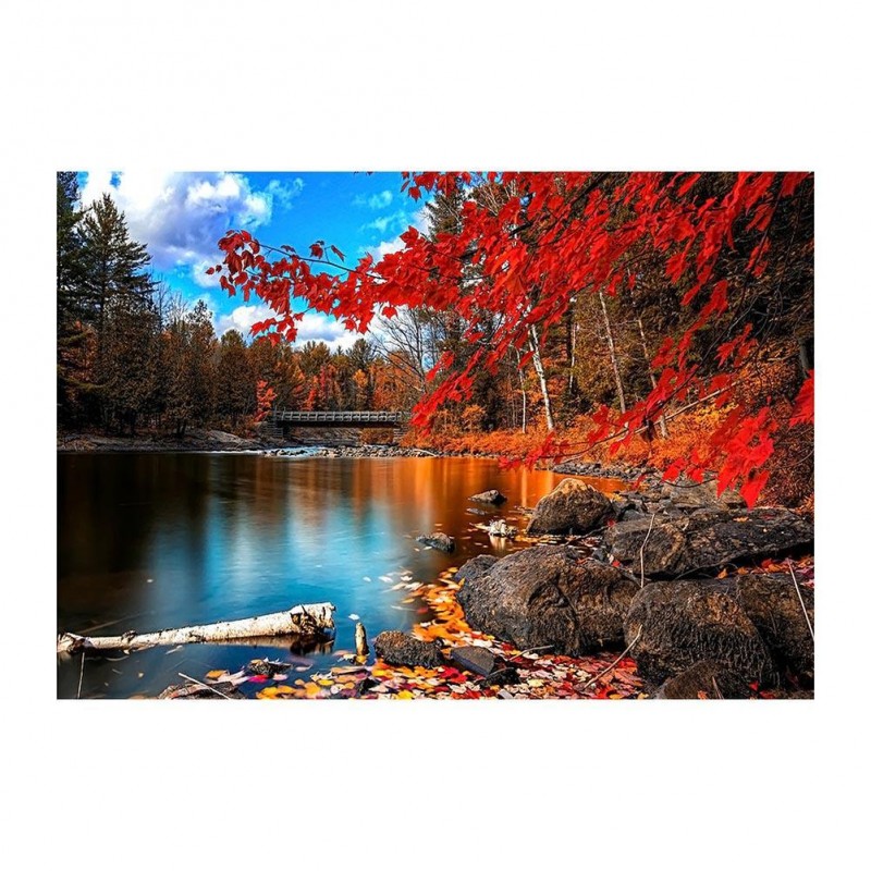 Fall Leaves Lake - F...