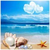 Seashore Shells-Full Round Diamond Painting