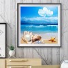 Seashore Shells-Full Round Diamond Painting