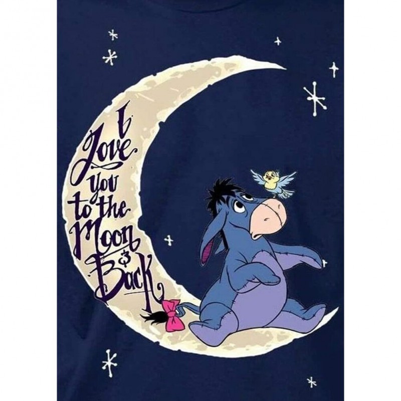 Donkey on the Moon -...