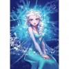 White Hair Princess -Full Round Diamond Painting