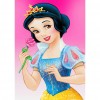 Snow White Princess - Full Round Diamond Painting