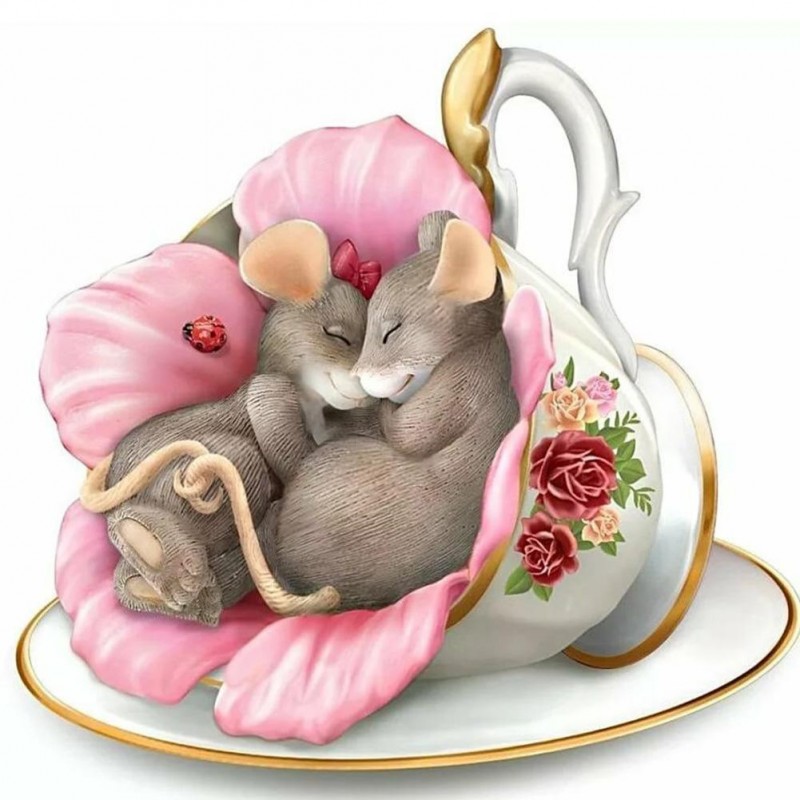 Cup Rats - Full Roun...