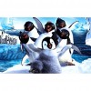 Cartoon Penguin - Full Round Diamond Painting